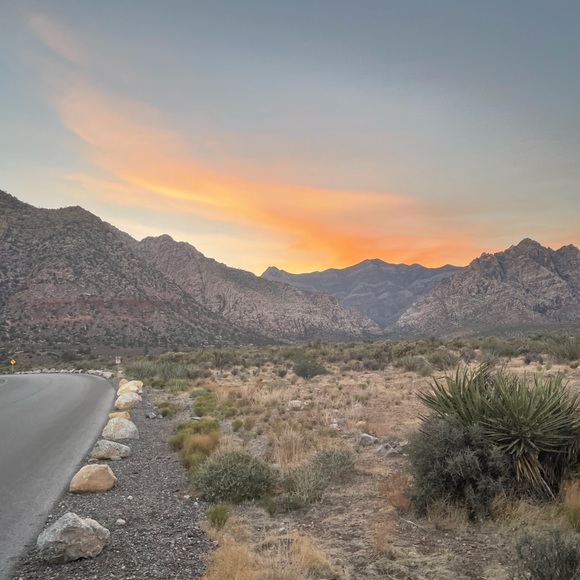 Meet your Posher, Kylei - Picture 1 of 1